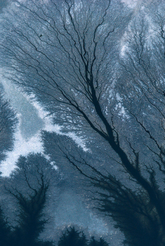 Des architectures de l’eau