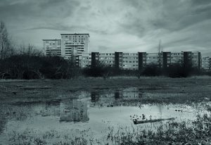 Le quartier des Plantes d’Hennemont : porté par les vagues du temps